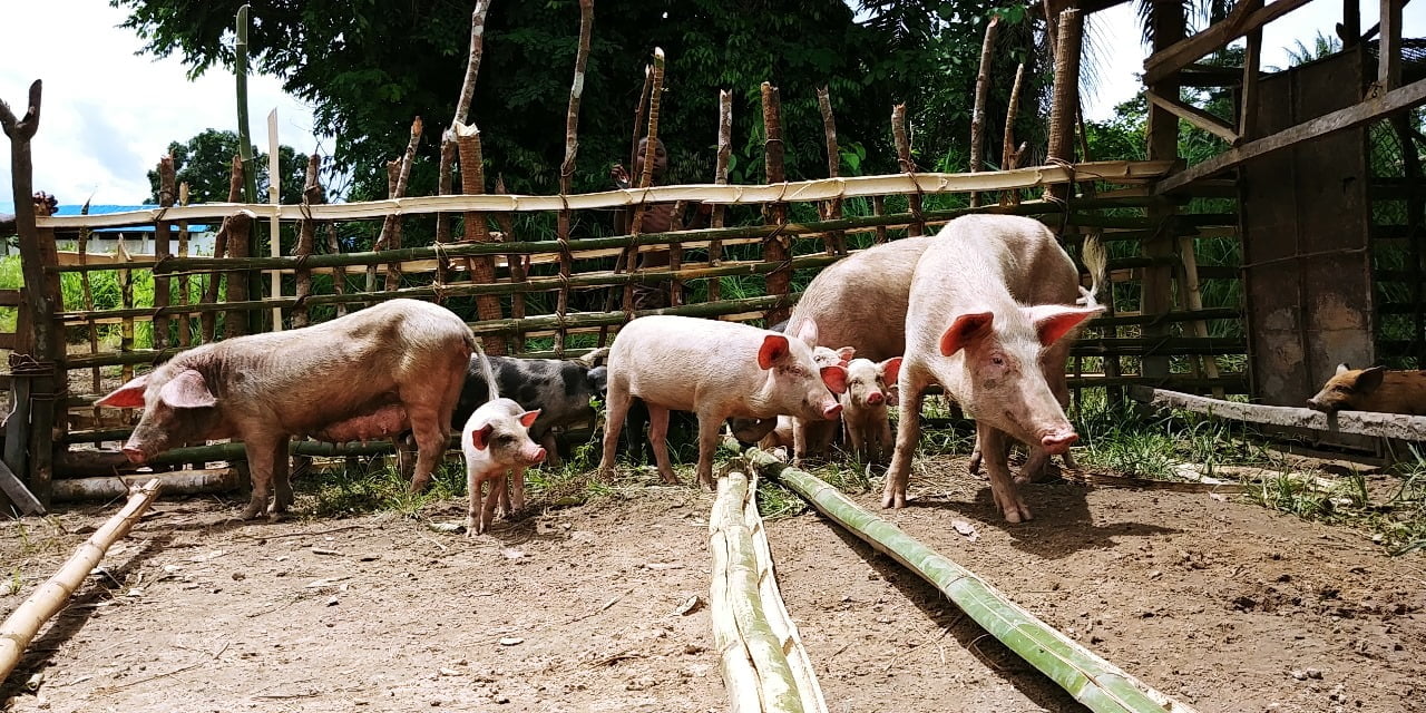 WhatsApp Image 2024-02-16 at 13.00.29_4699079d